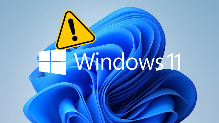 Windows 11 problem