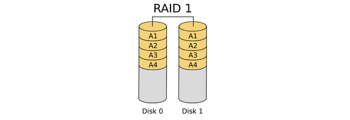 image of raid 1
