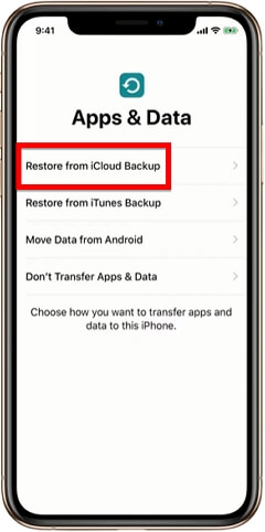 choose restore from icould backup