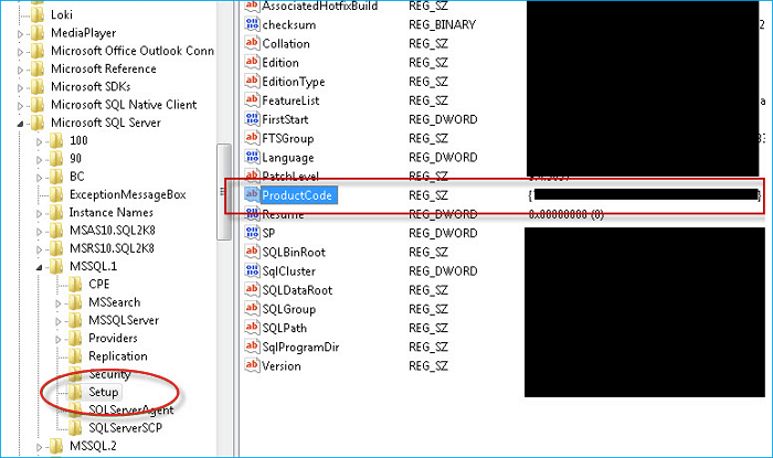 Find SQL Server product key in Registry