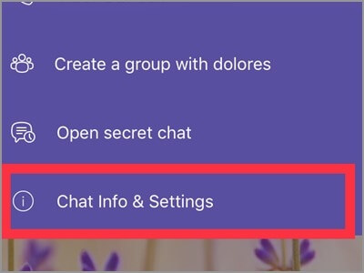 chat infor and settings