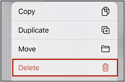 delete option