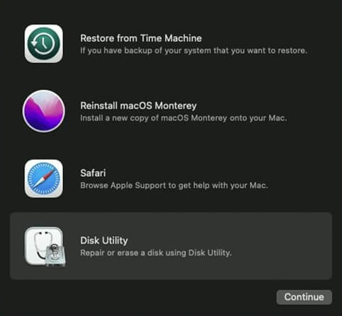 Boot Mac into Disk Utility