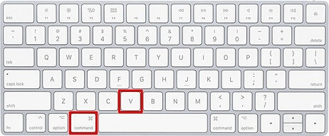 press command + V