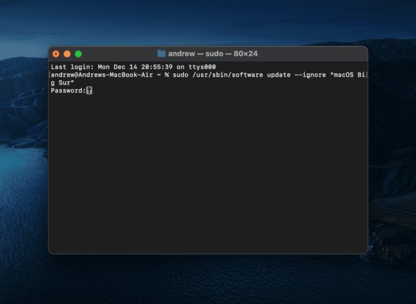 stop macOS update permanently