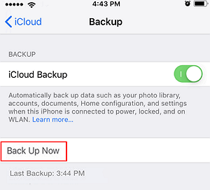 iCloud backup option is greyed out.