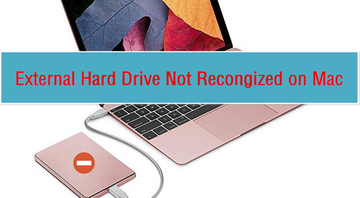 mac not recognizing external hard drive