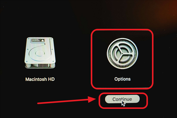 Recovery Mode Startup Options