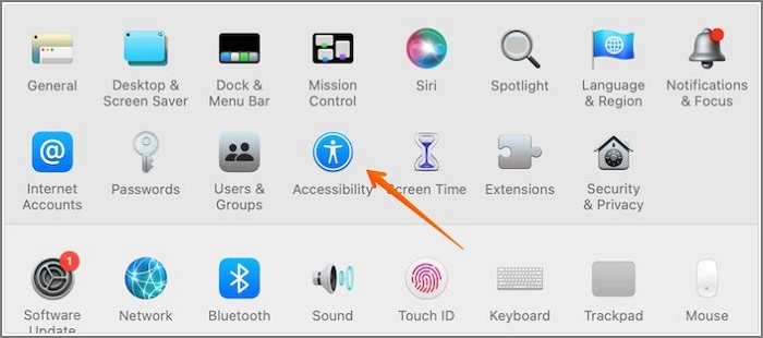 Open accessibility feature in Mac system preferences