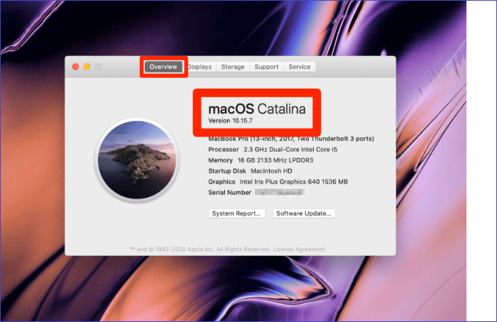 overview macOS version.png