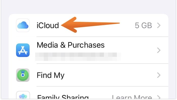 Tap on iCloud Option