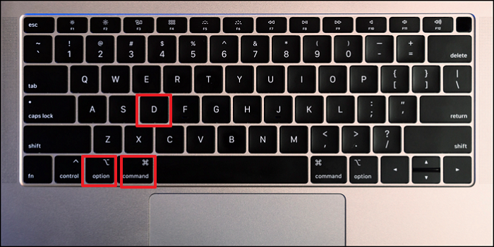 The Option Keys