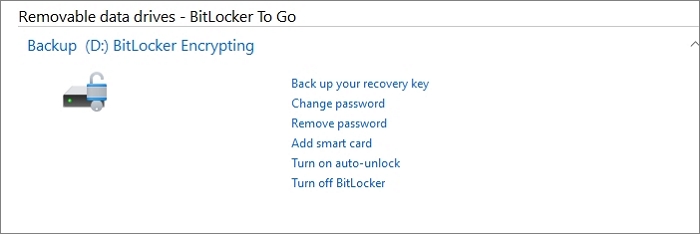 bitlocker encrypt process