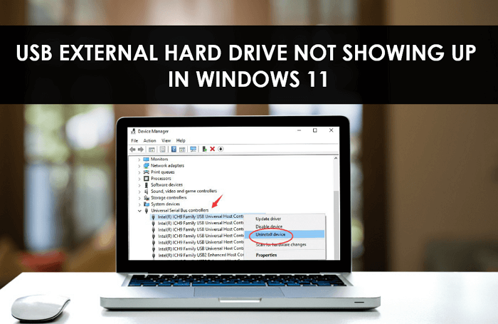 USB external hard not showing up in windows 11