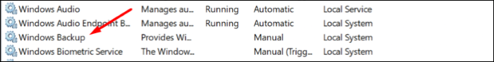 Windows Backup in Service