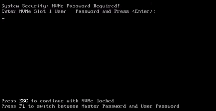 Type password to re-enter BIOS