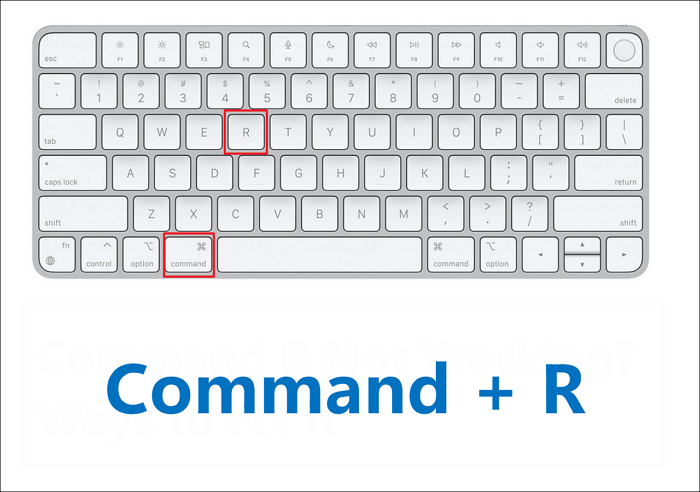 Hold this Command + R
