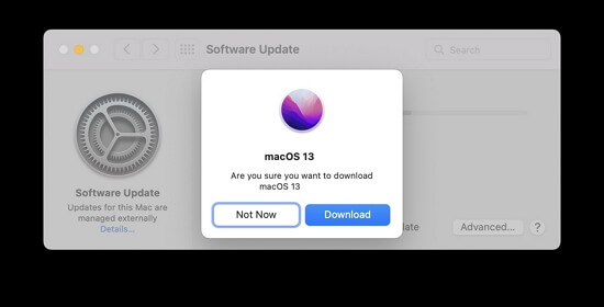 click download to confirm