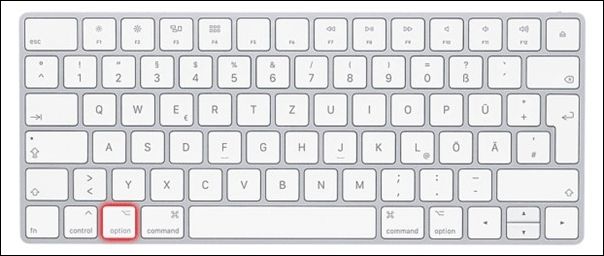 hold the option key