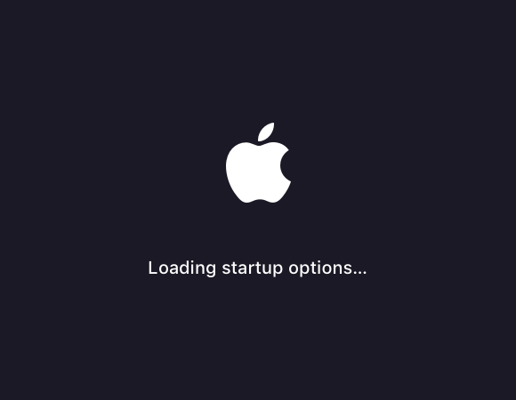 Startup Options