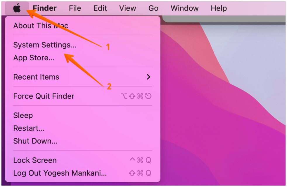 Open System Settings on Mac