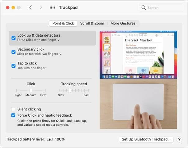 uncheck the fields on MacBook Pro trackpad settings