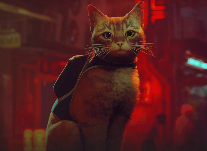 what is Stray