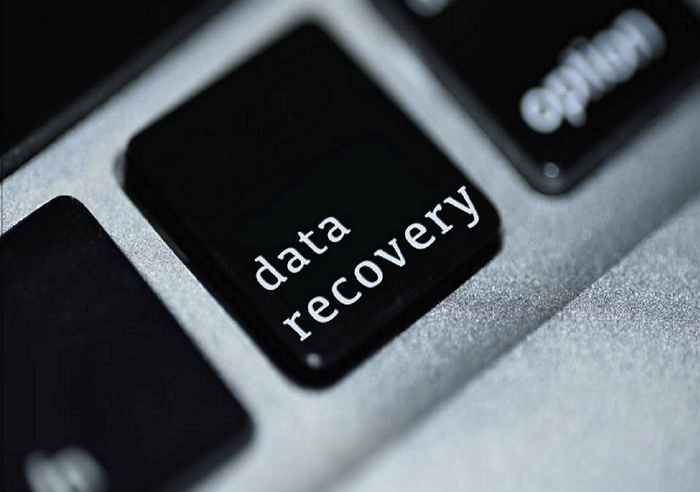 while organizing files you accidentally delete an entire folder