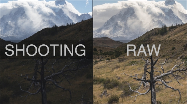 Shot in RAW