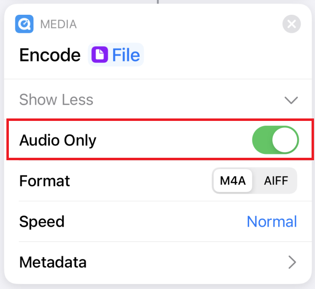 Choose Audio Only