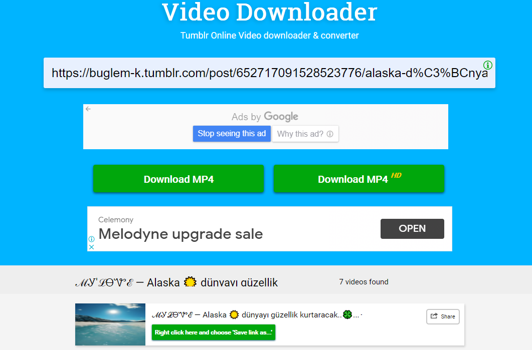 online-tumblr-video-downloader