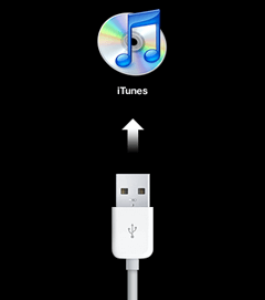 connect device to iTunes