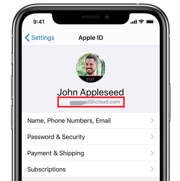 Find Apple ID from iCloud