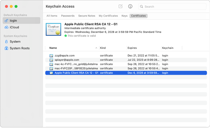 Access iCloud Keychain on Mac