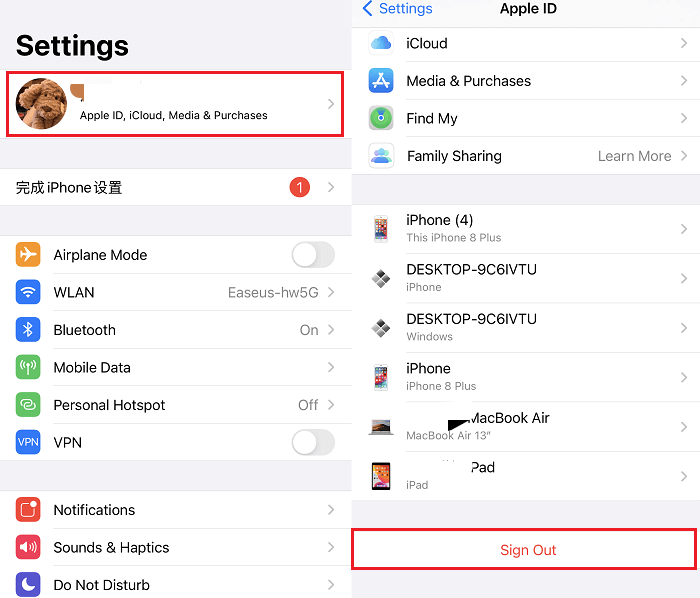 Sign out Apple ID