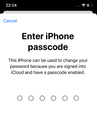 Reset Apple ID password on iPhone - 3