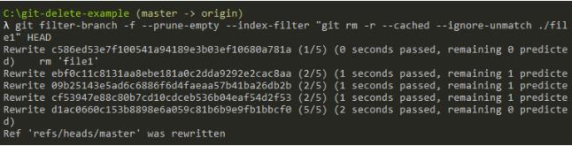 entering a command for removing the file from git history