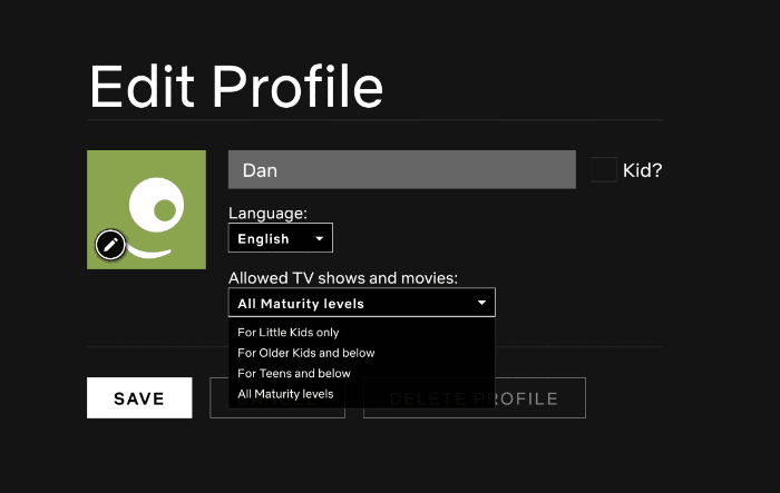 Netflix Profile