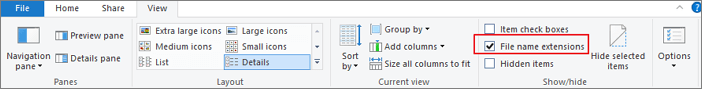 show file extentions