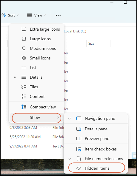 show hidden items
