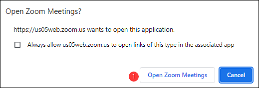 open zoom meeting with your browser