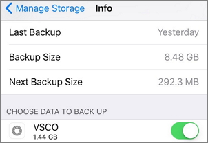 backup vsco app data to iCloud
