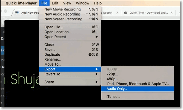 Pull Audio from Video with QuickTime