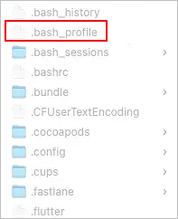 Bash Profile on Mac