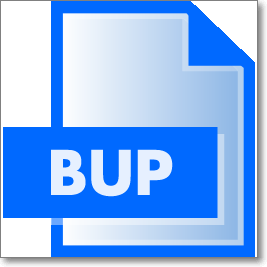bup file