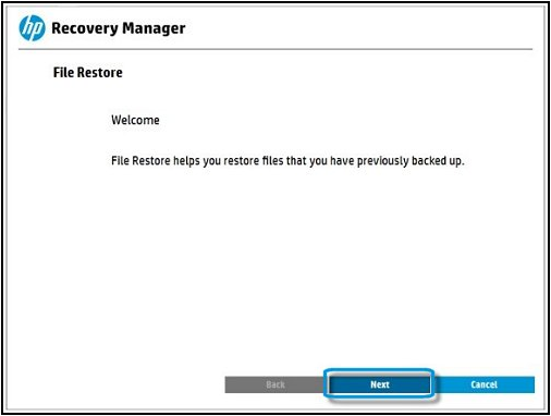 restore files