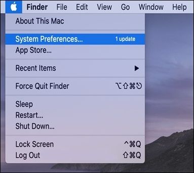 choose system preferences
