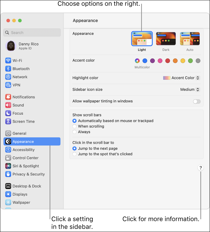 Using System Preferences