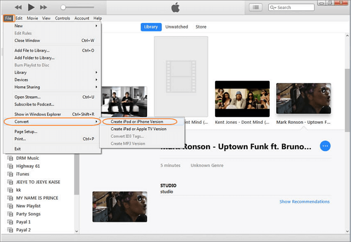 Create iPod or iPhone Version