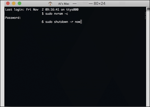 mac terminal shutdown r now